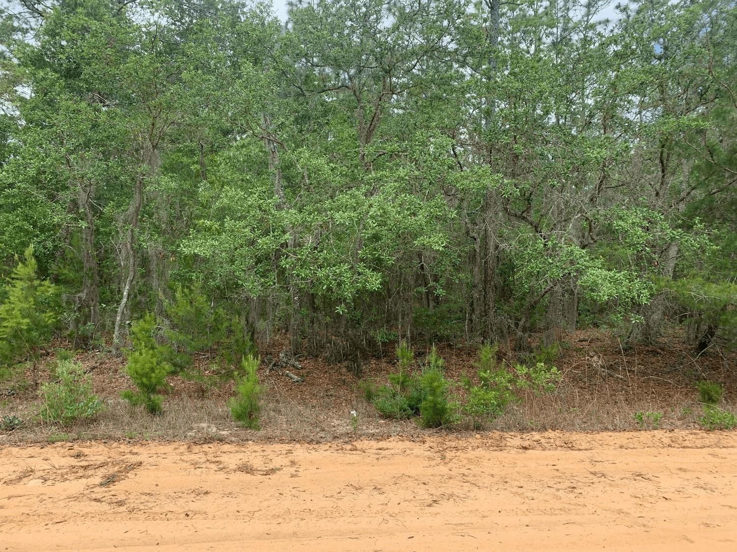 0 David Avenue, Interlachen, FL 32148