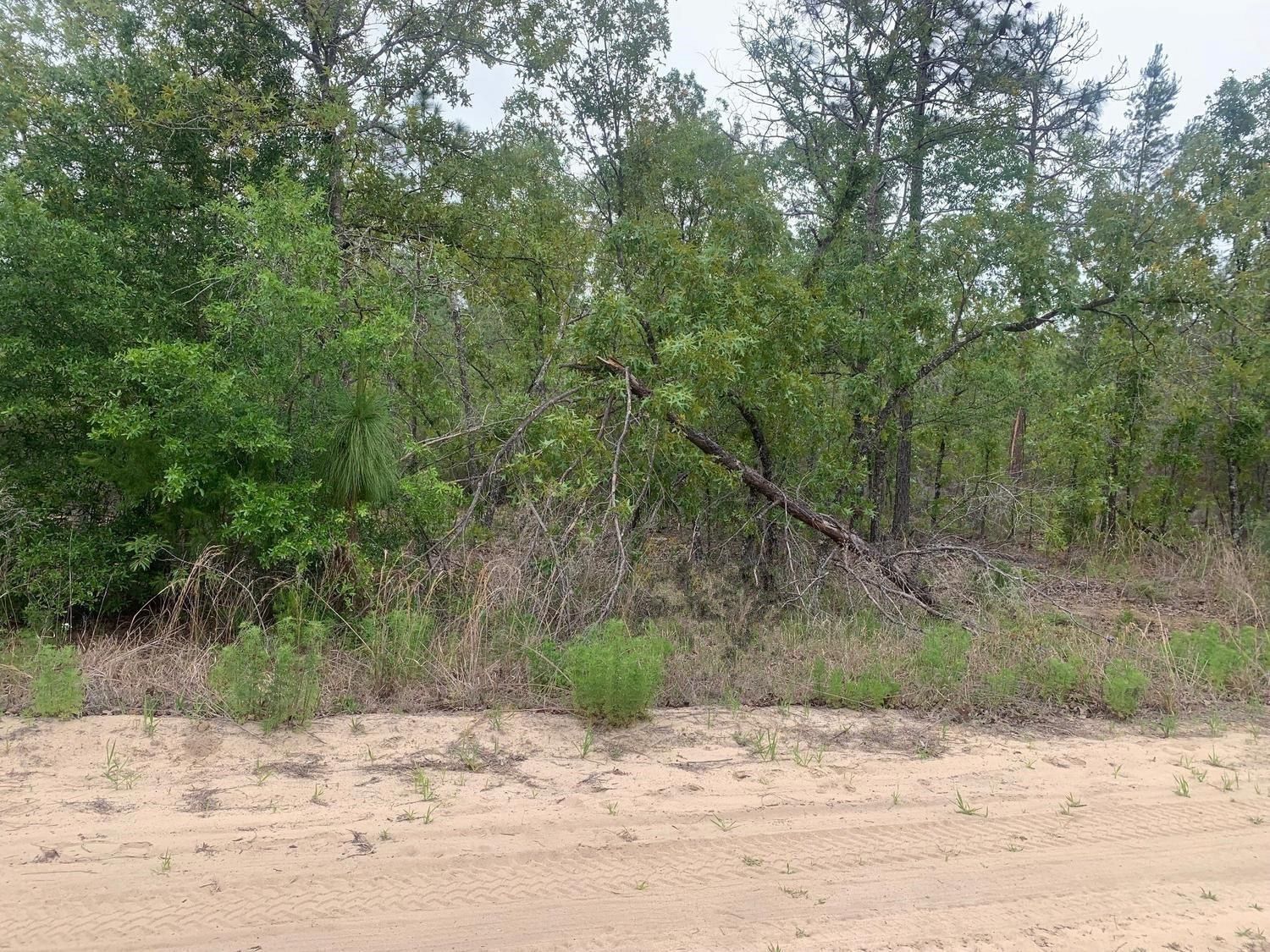 0 May Lane, Interlachen, FL 32148