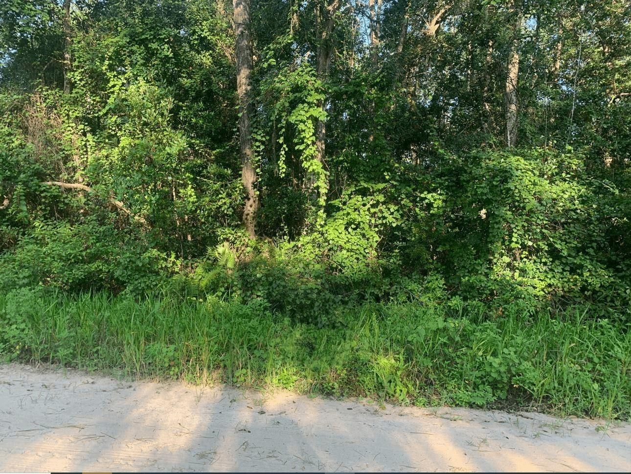 0 Ida Boulevard, Interlachen, FL 32148