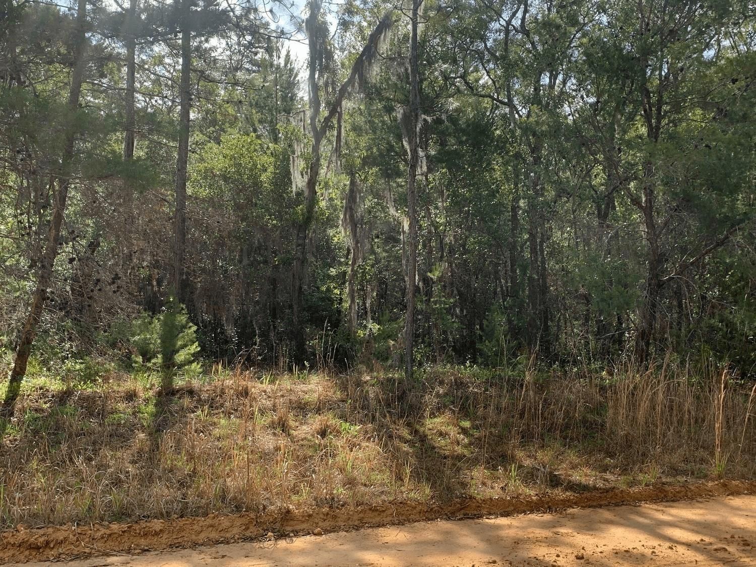 0 Shappell Avenue, Interlachen, FL 32148