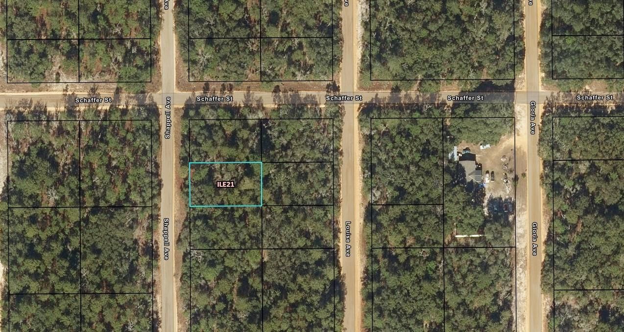 0 Shappell Avenue, Interlachen, FL 32148 photo 2
