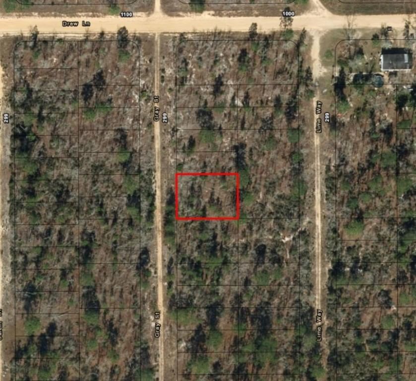 0 Gray Street, Interlachen, FL 32148 photo 4