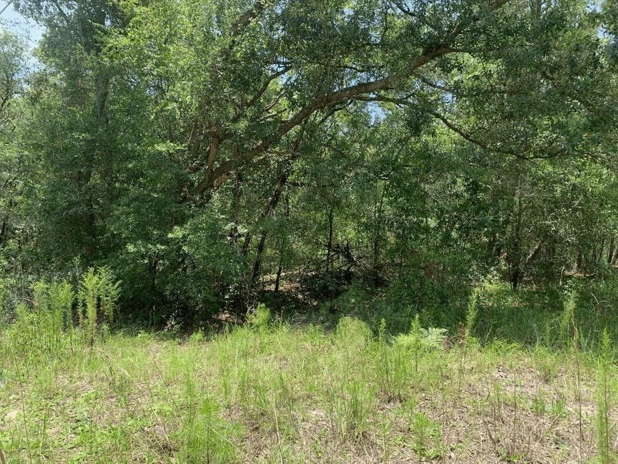 0 Oklahoma Avenue, Satsuma, FL 32189