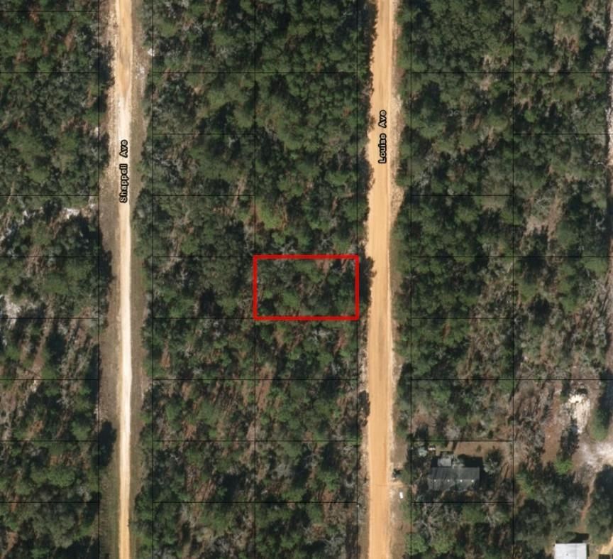 0 Louise Avenue, Interlachen, FL 32148 photo 2