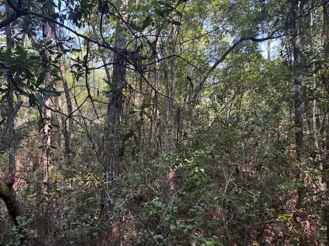 224 SE 8th Avenue, Palatka, FL 32177 photo 2