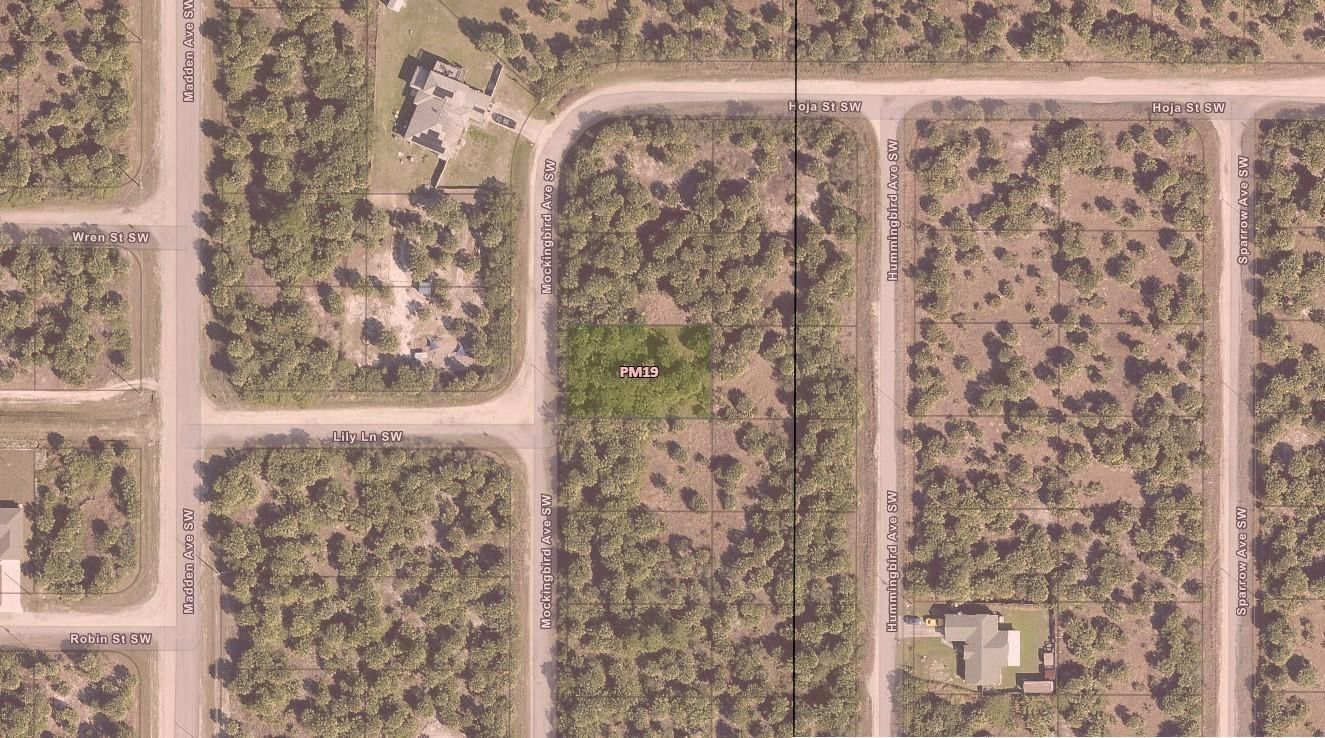 3223 SW Mockingbird Avenue, Palm Bay, FL 32908 photo 4