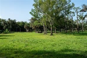 2115 N Cr 78 Road, Labelle, FL 33935 photo 2