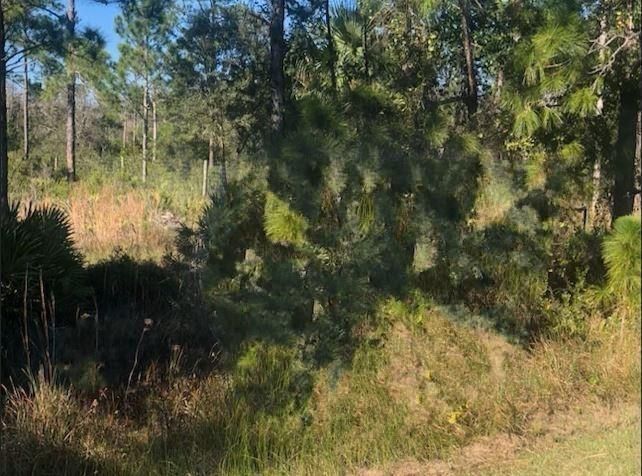 0 Kenansville, Okeechobee, FL 34739