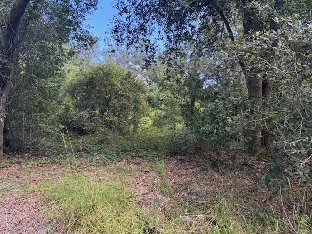 0 County Rd 54, Kathleen, FL 33849