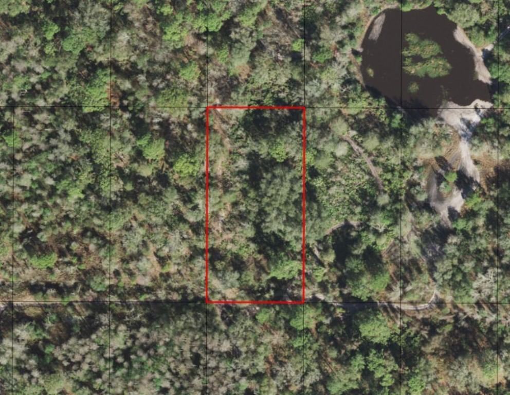 0 County Rd 54, Kathleen, FL 33849 photo 2