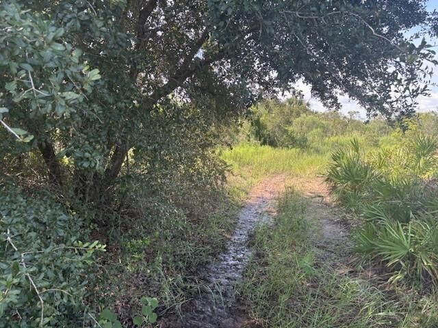 0 NW 310th Street, Okeechobee, FL 34972 photo 2