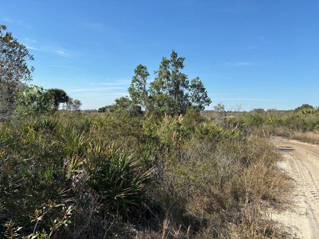 0 NW 308th Street, Okeechobee, FL 34972 photo 2