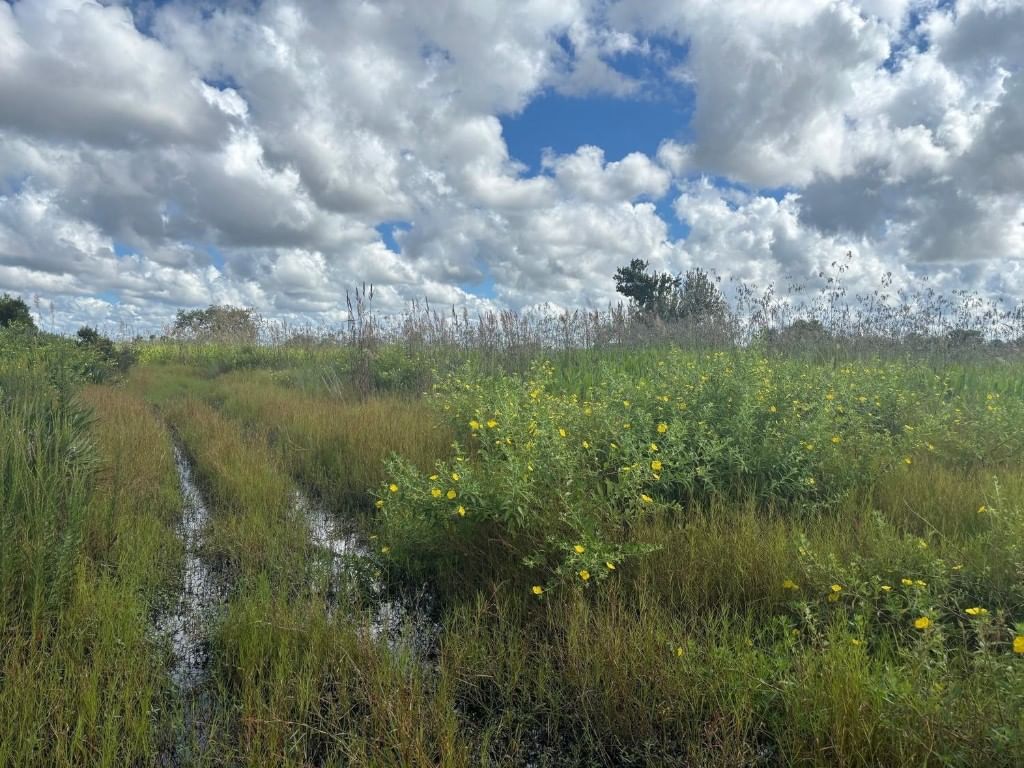 0 NW 316th Street, Okeechobee, FL 34972