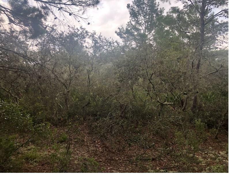 0 Alturas Babson Park Cutoff Road, Lake Wales, FL 33859 photo 2