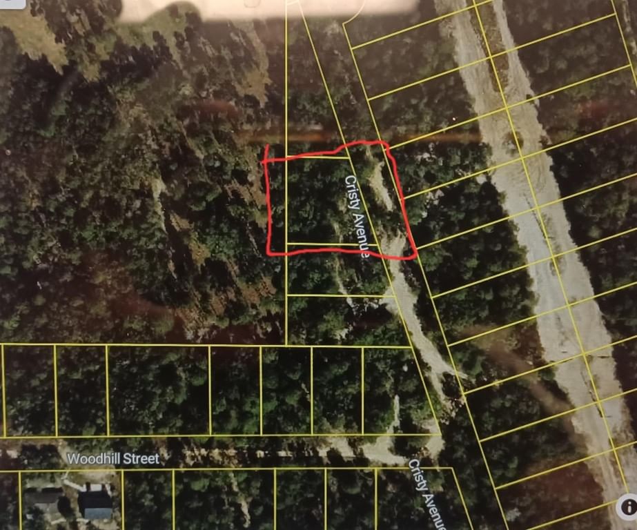 107 N Cristy Avenue, Inverness, FL 34452 photo 2