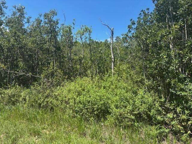 0 Sweet Hill Road, Polk City, FL 33868 photo 2