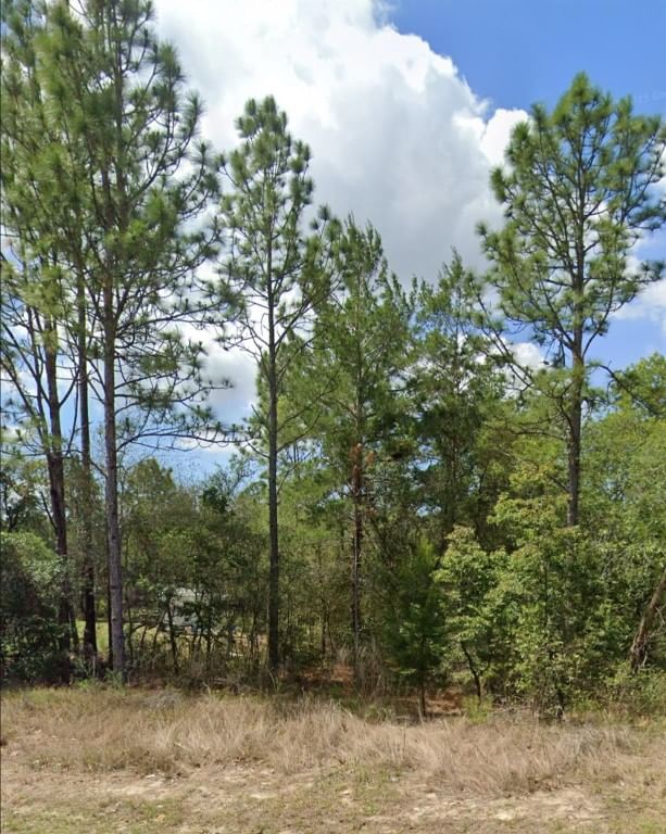 3808 W Indian Rock Place, Citrus Springs, FL 34433 photo 2