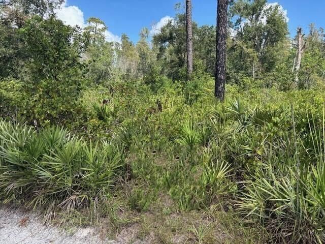 0 County Rd 54, Kathleen, FL 33849 photo 2