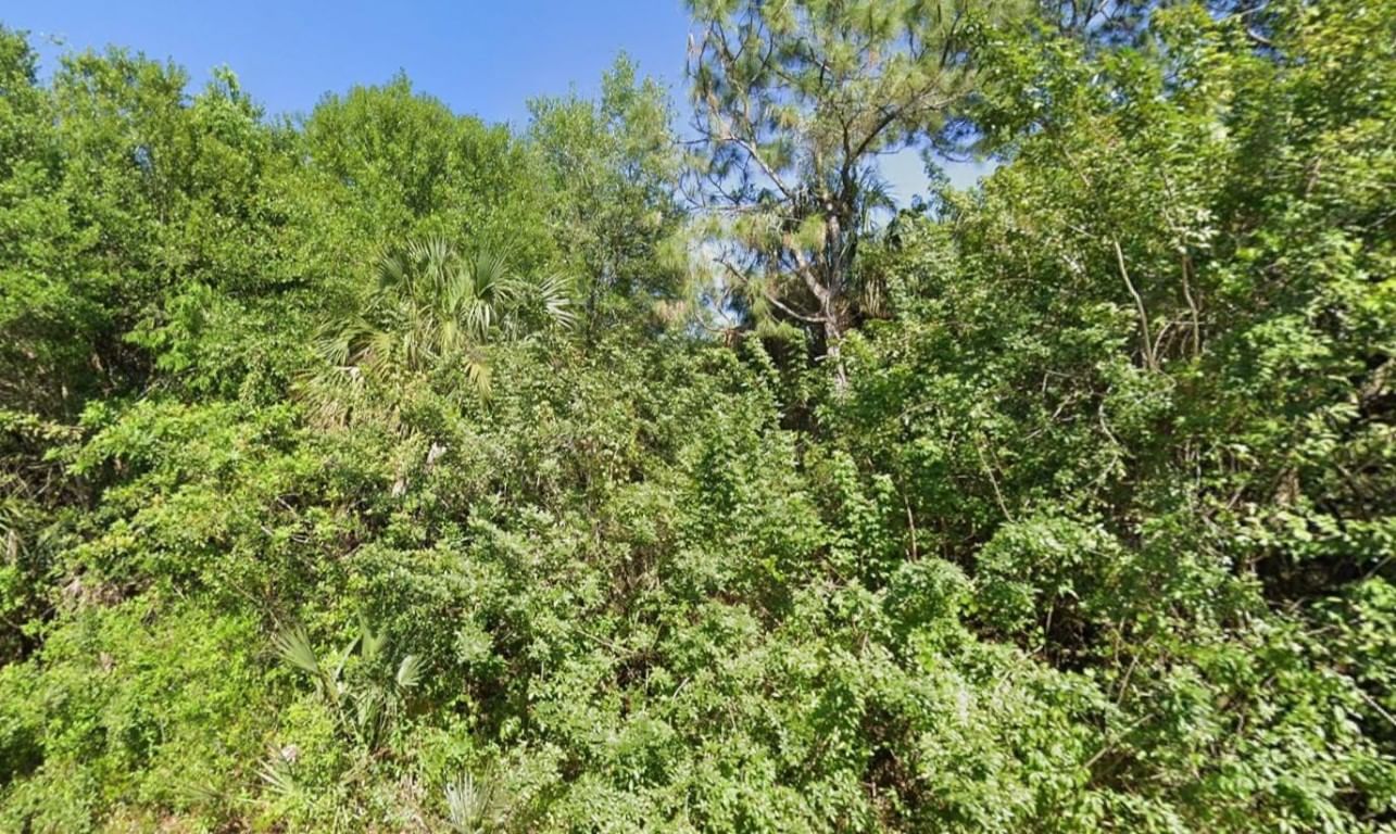 4702 Vera Avenue, Lehigh Acres, FL 33971 photo 3