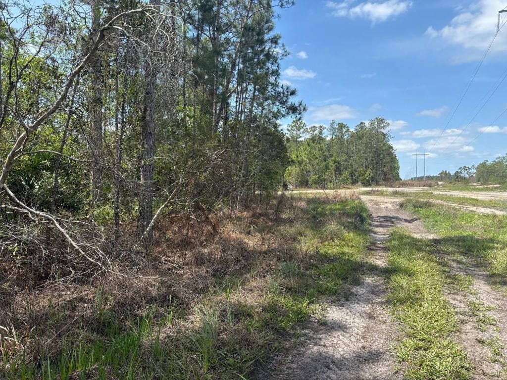 0 Holopaw Groves Road, St Cloud, FL 34772