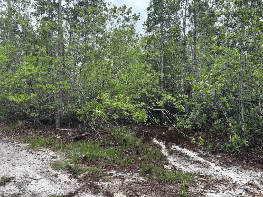 0 Holopaw Groves Road, St Cloud, FL 34772