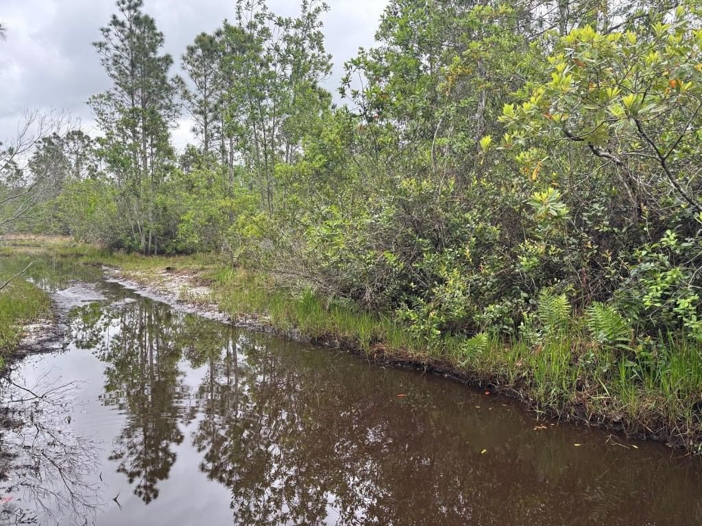 0 Holopaw Groves Road, St Cloud, FL 34772 photo 2