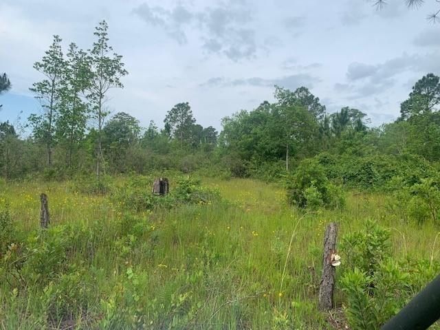 0 Holopaw Groves Road, St Cloud, FL 34772