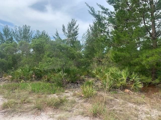 0 Holopaw Groves Road, St Cloud, FL 34772 photo 2