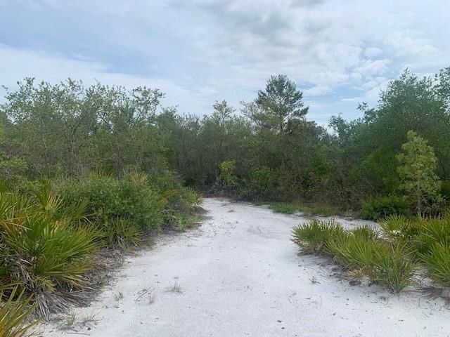 0 Holopaw Groves Road, St Cloud, FL 34772 photo 3