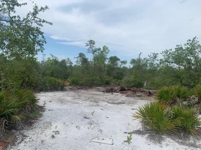 0 Holopaw Groves Road, St Cloud, FL 34772 photo 4