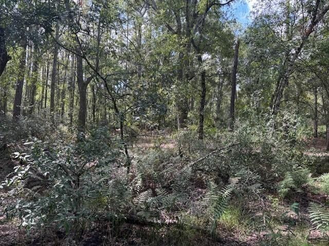 0 County Rd 54, Kathleen, FL 33849 photo 2
