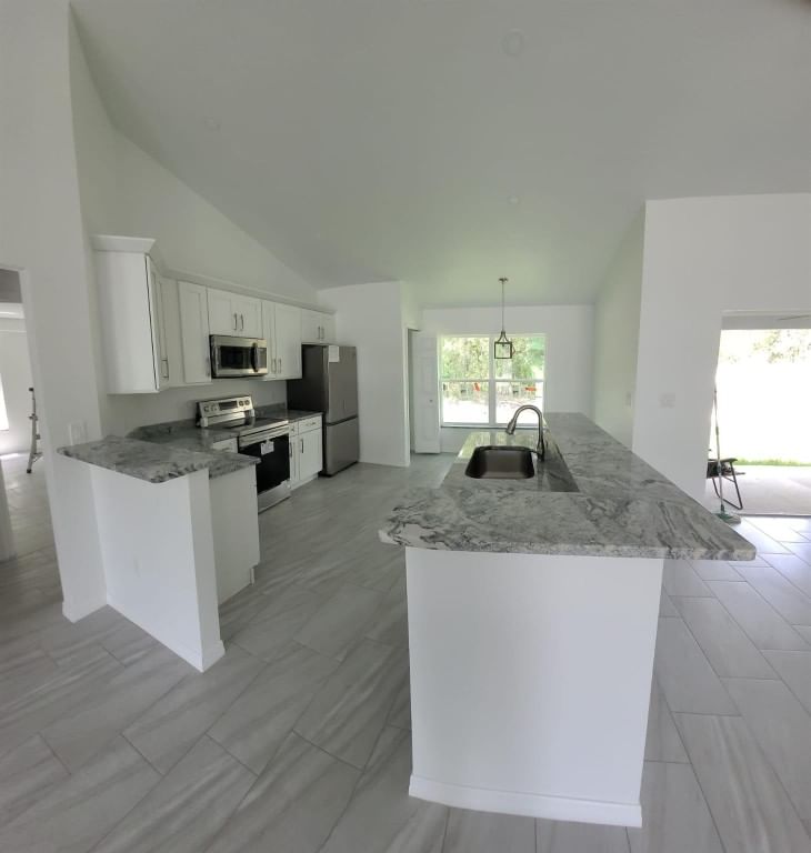14429 36th Avenue, Summerfield, FL 34491 photo 3
