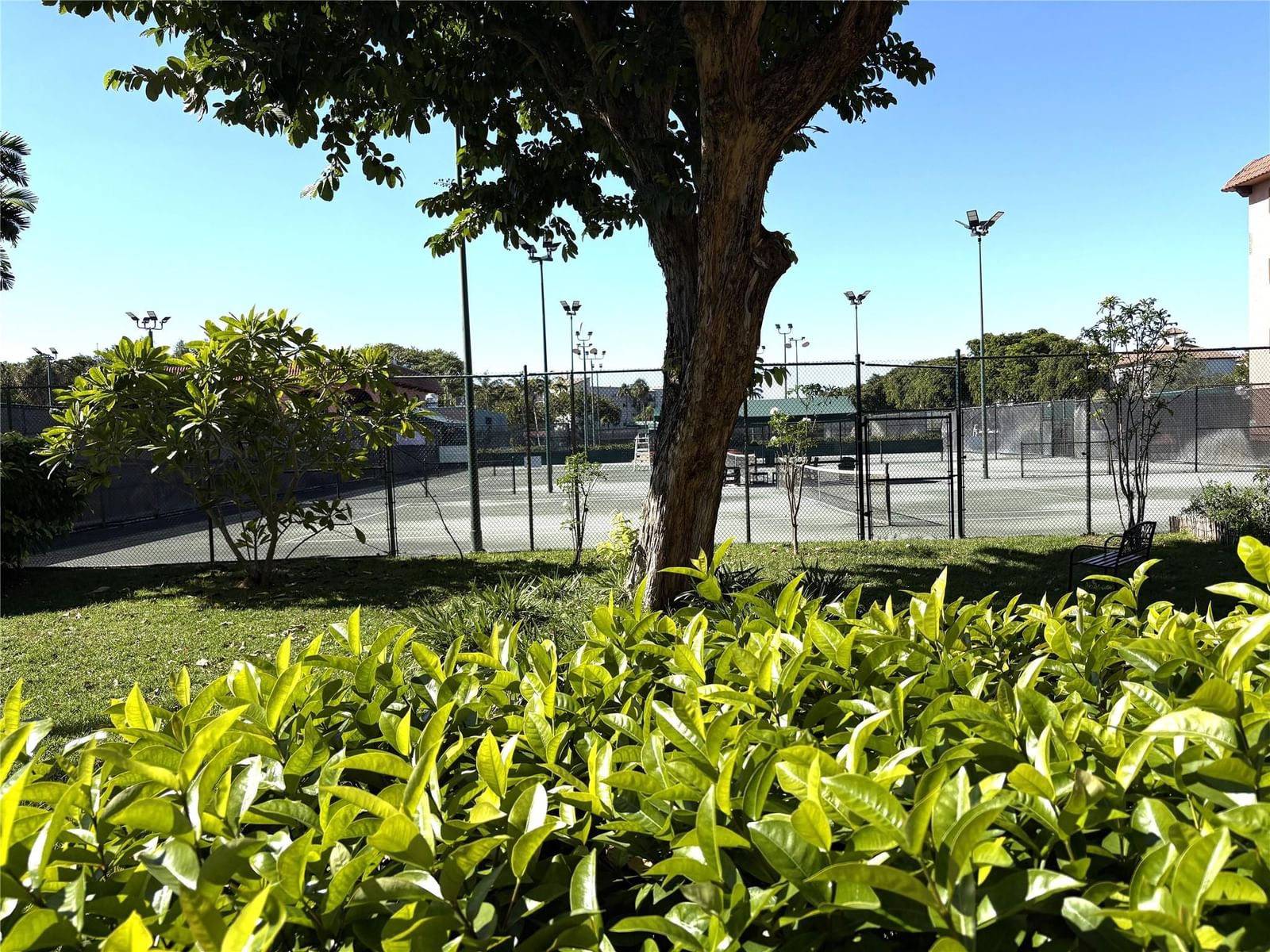 620 Tennis Club Drive #105, Fort Lauderdale, FL 33311 photo 3