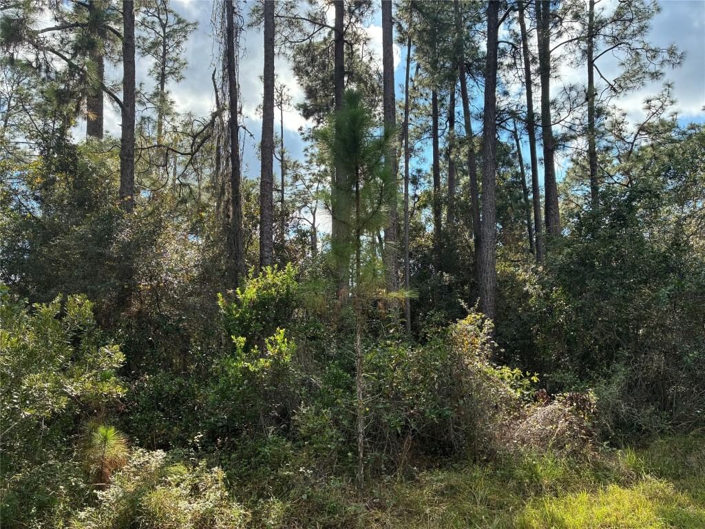 Lot 15 Park Avenue, Indian Lake Estates, FL photo 2