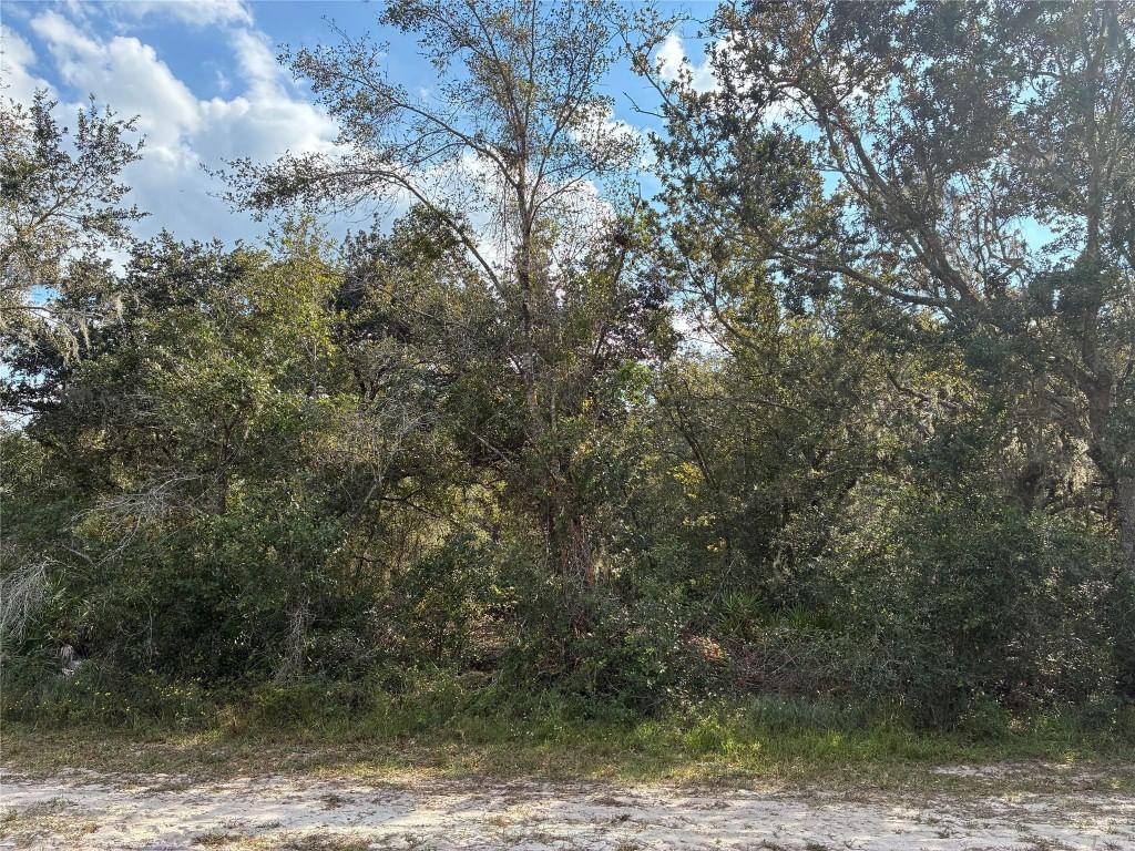 3791 Park Avenue, Indian Lake Estates, FL photo 3