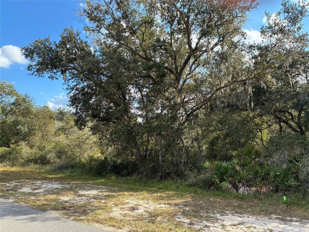2521 Plumosa Drive, Indian Lake Estates, FL photo 2
