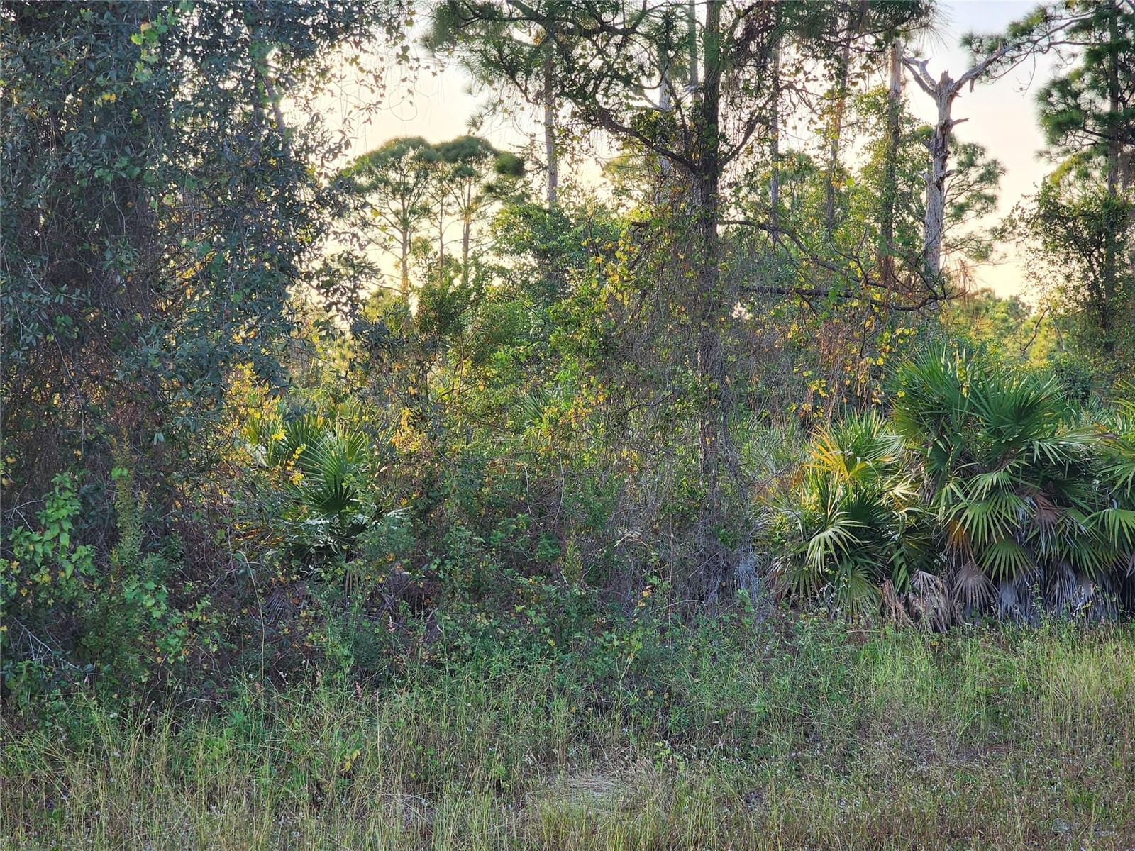 842 Genoa Avenue, Lehigh Acres, FL 33974 photo 2
