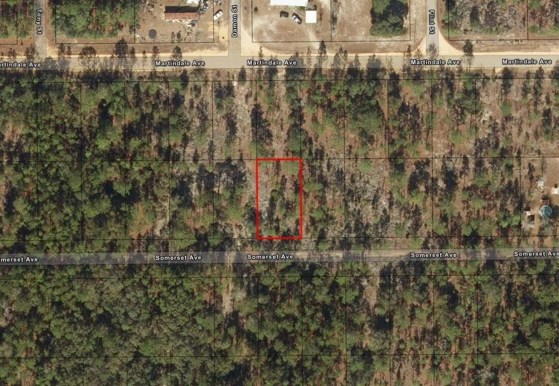 0 Somerset Avenue, Interlachen, FL 32148 photo 2