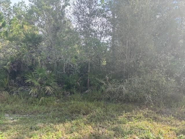 0 Old Grade Road, Polk City, FL 33868 photo 2