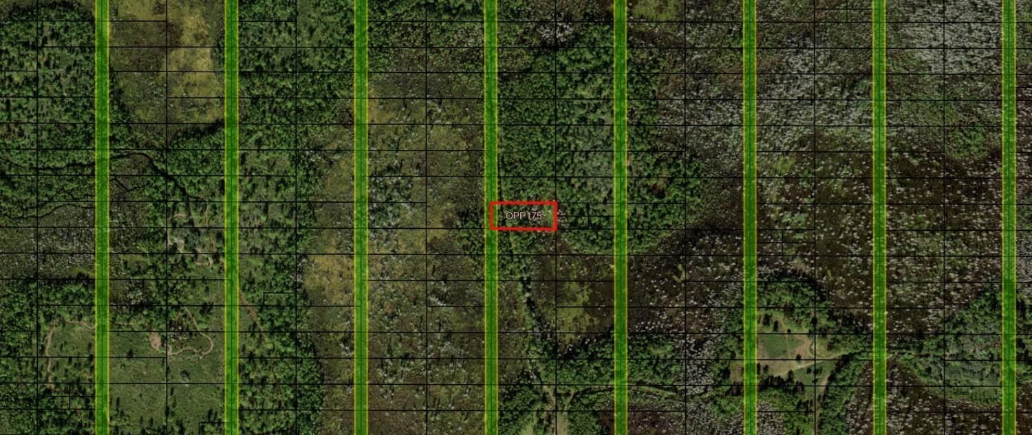0 Old Grade Road, Polk City, FL 33868 photo 3