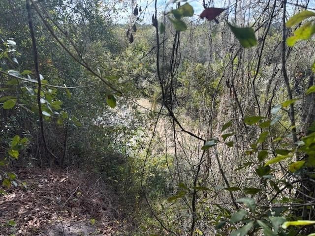 0 County Rd 54, Kathleen, FL 33849 photo 2