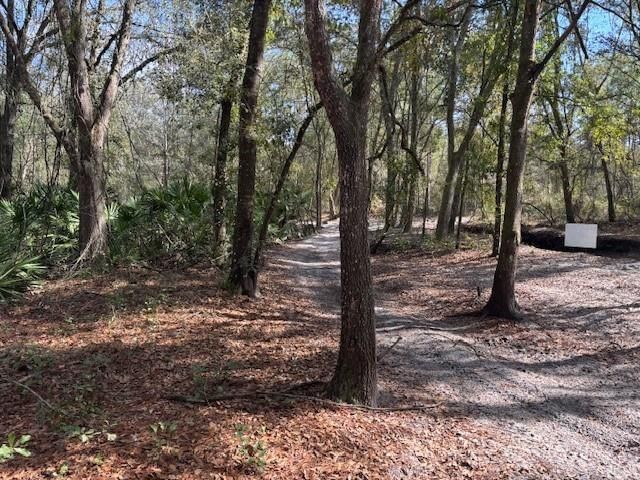 0 County Rd 54, Kathleen, FL 33849 photo 2