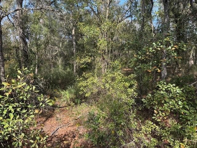 0 County Rd 54, Kathleen, FL 33849 photo 2