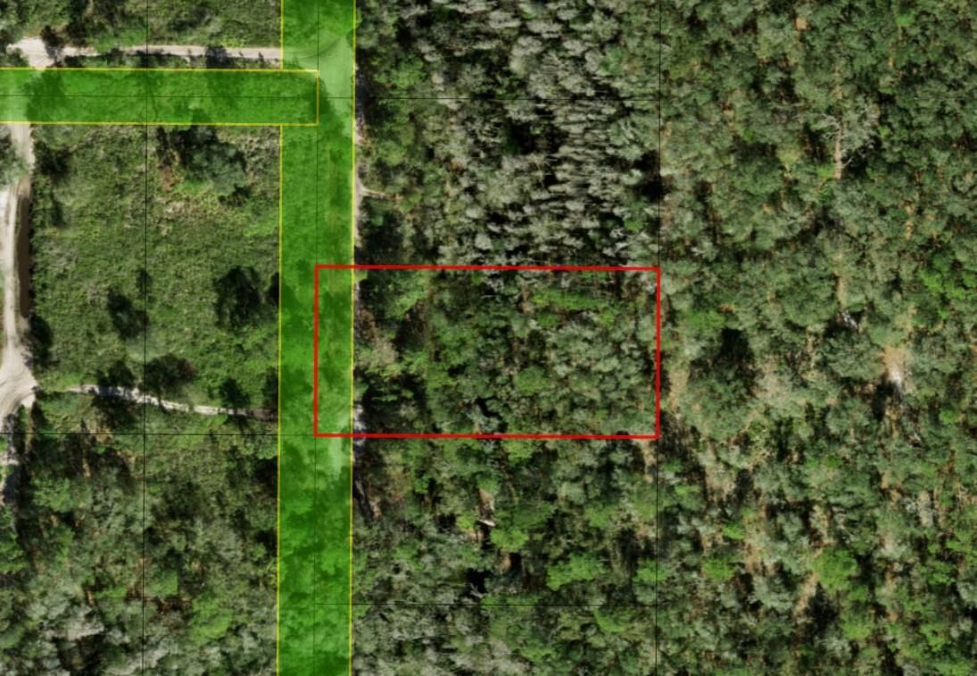 0 County Rd 54, Kathleen, FL 33849 photo 2