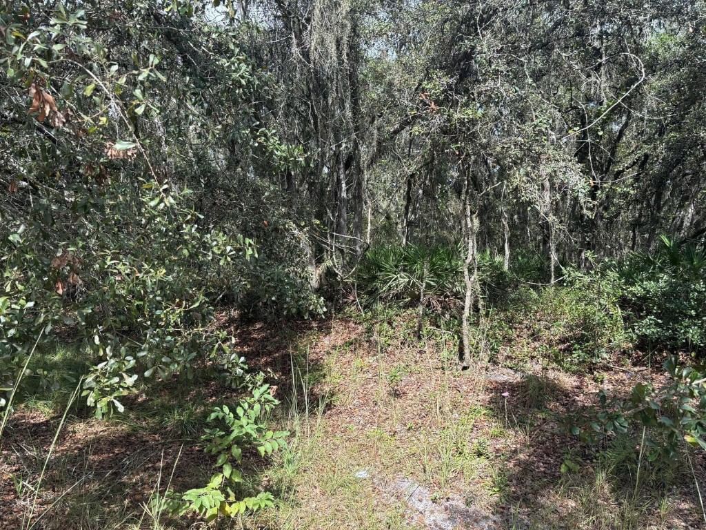 0 County Rd 54, Kathleen, FL 33849