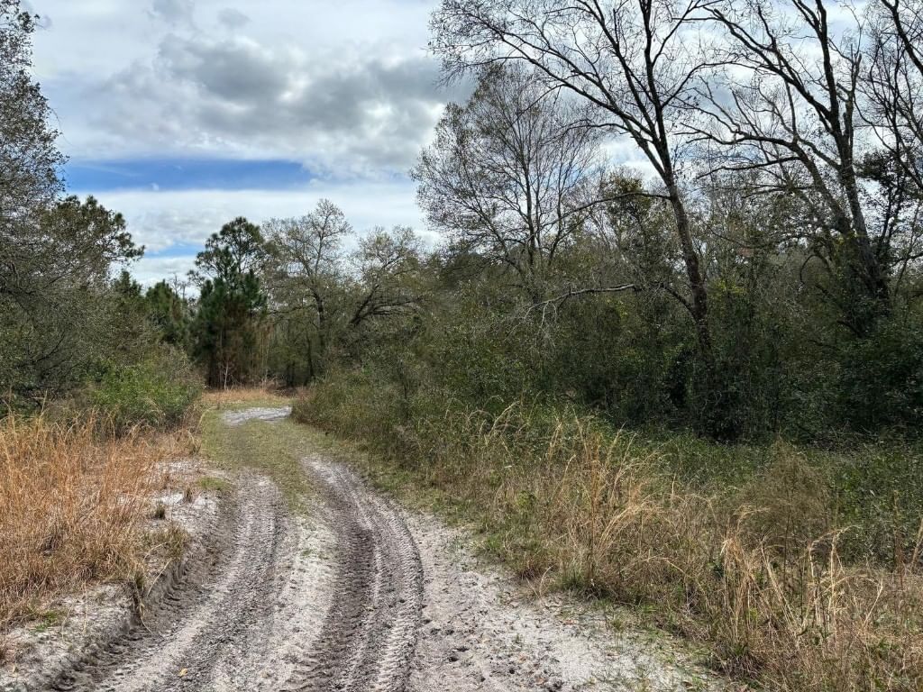 0 County Rd 54, Kathleen, FL 33849 photo 2