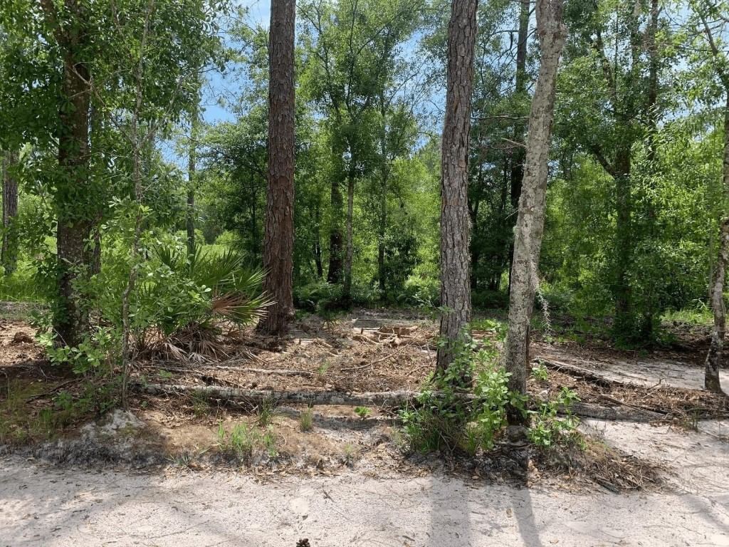 0 County Rd 54, Kathleen, FL 33849