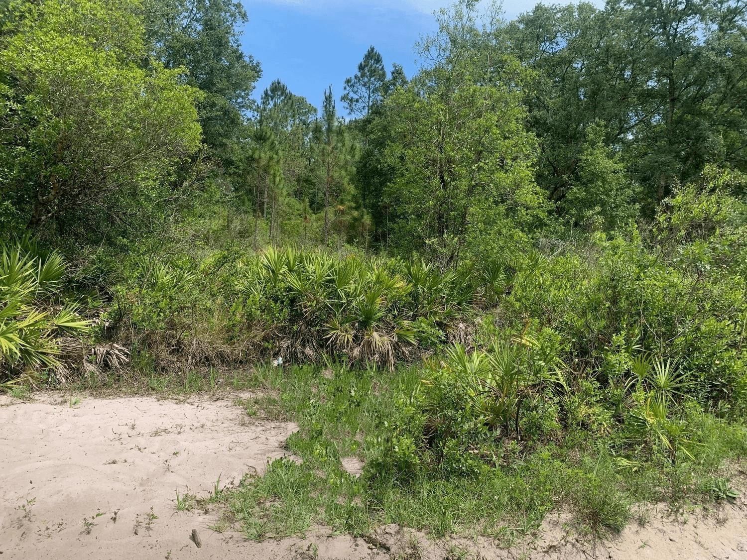 0 County Rd 54, Kathleen, FL 33849