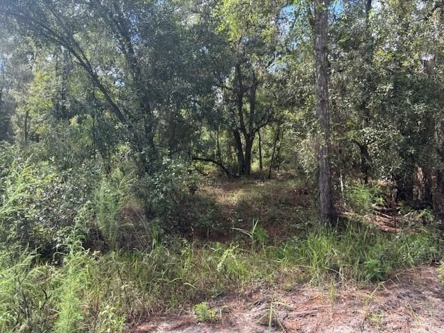 0 County Rd 54, Kathleen, FL 33849 photo 2