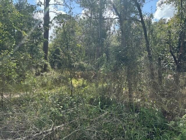 0 County Rd 54, Kathleen, FL 33849 photo 2
